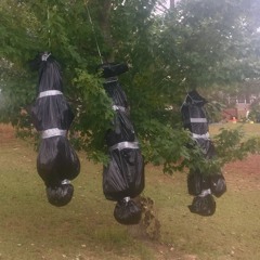 anorexic ozempic body bag