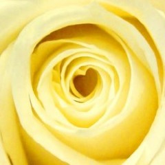 Day 20 of 21-Day Self-Healing Challenge - Heart Centred Practice