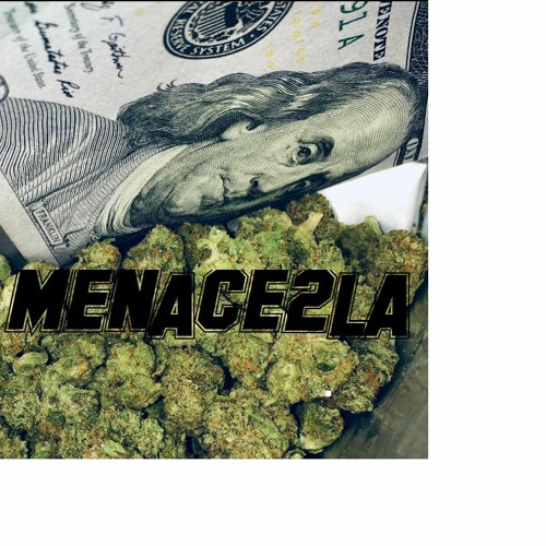 LAZY2DOWN - 40 WITTA BEAN INNIT