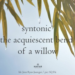 Syntonic  ( Naviarhaiku 465 )
