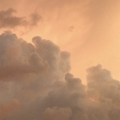 Cá Voi Rơi Xuống Đáy Biển - Huyền Tử (鲸落海底 - 弦子)