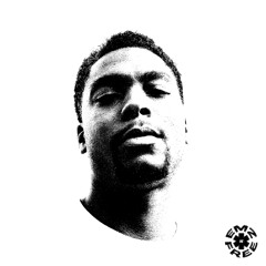 Free (Introdeucer Remix)