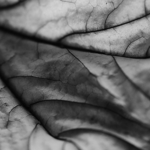 Raw Hypnotic Techno (ft. Setaoc Mass, Kr!z, Luke Slater, Phara, etc.)