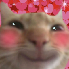 i'll love u forever (meow man vol, 1)