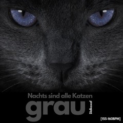 Nachts sind alle Katzen grau [155-160BPM]
