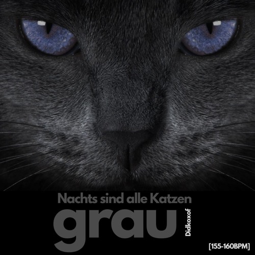 Nachts sind alle Katzen grau [155-160BPM]