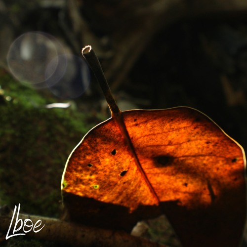 Self-Actualization : Instrumental