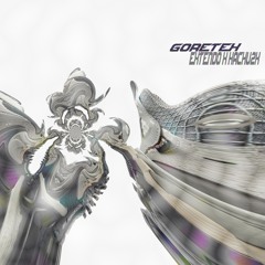 EXTENDO X KACHU2K - GORETEX©