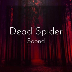 Dead Spider