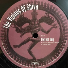 The Visions Of Shiva (Cosmic Baby & Paul van Dyk) - Perfect Day - mwb Hiflow Edit