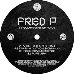 A1 - Vibe To The Rhythm