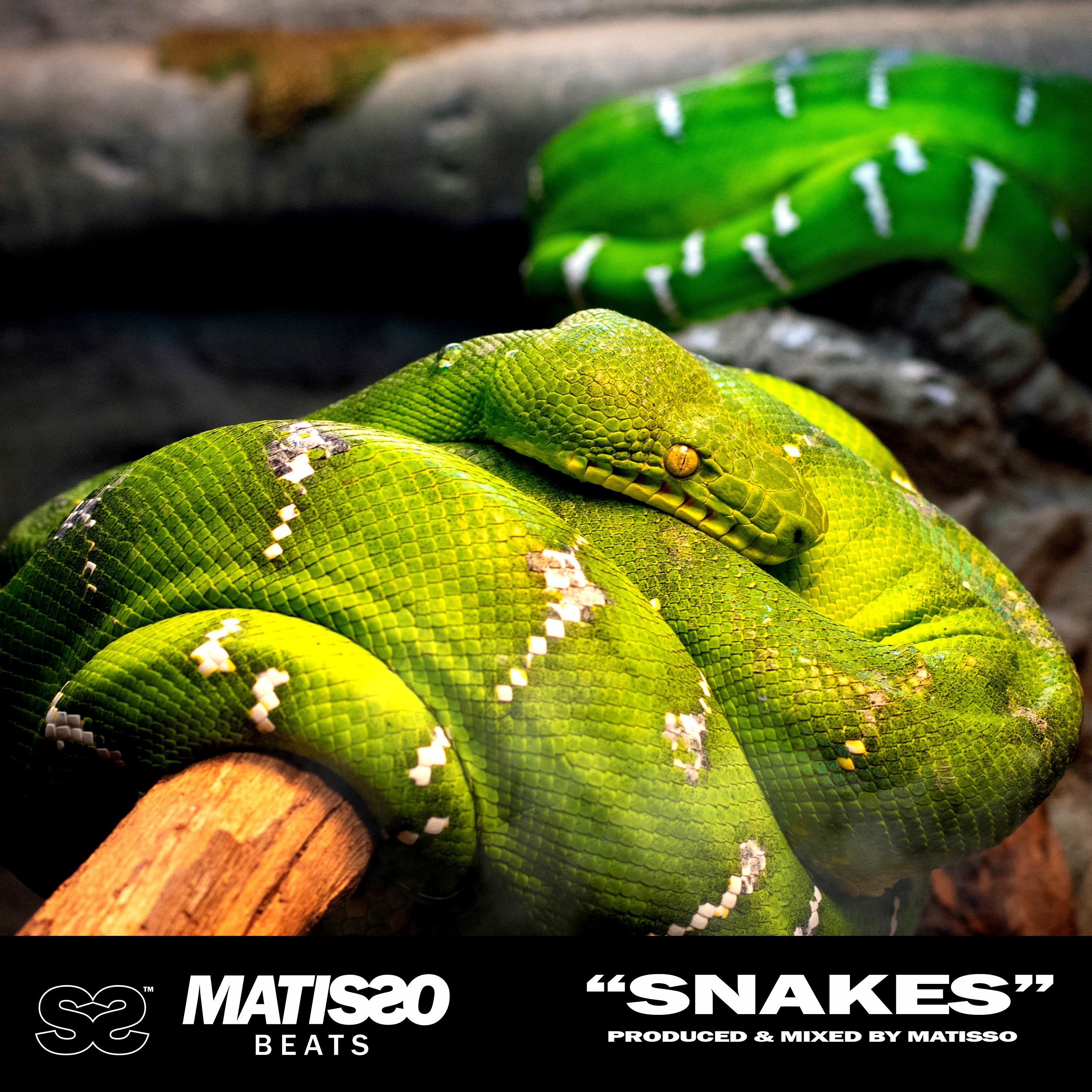 Matisso