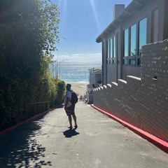 One of the cold ones