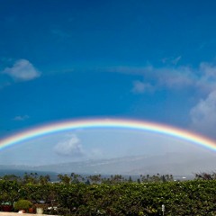 The Rainbow Connection—To Physics