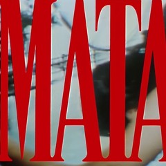 matador(1ntcart)