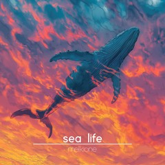 sea life