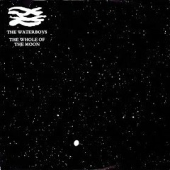 The Waterboys - The Whole Of The Moon (Boat Drinks! Version Excursion)