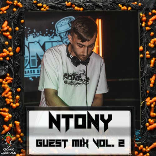 Guest mix vol. 2 - NTONY