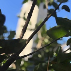 BECAUSE THE SUN .WAV