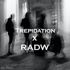 RADW x Trepidation (Hard Techno Mashup)