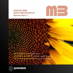 Premiere: Audioglider - Depth Perception (RIGOONI Remix) - Melodic Beats Recordings