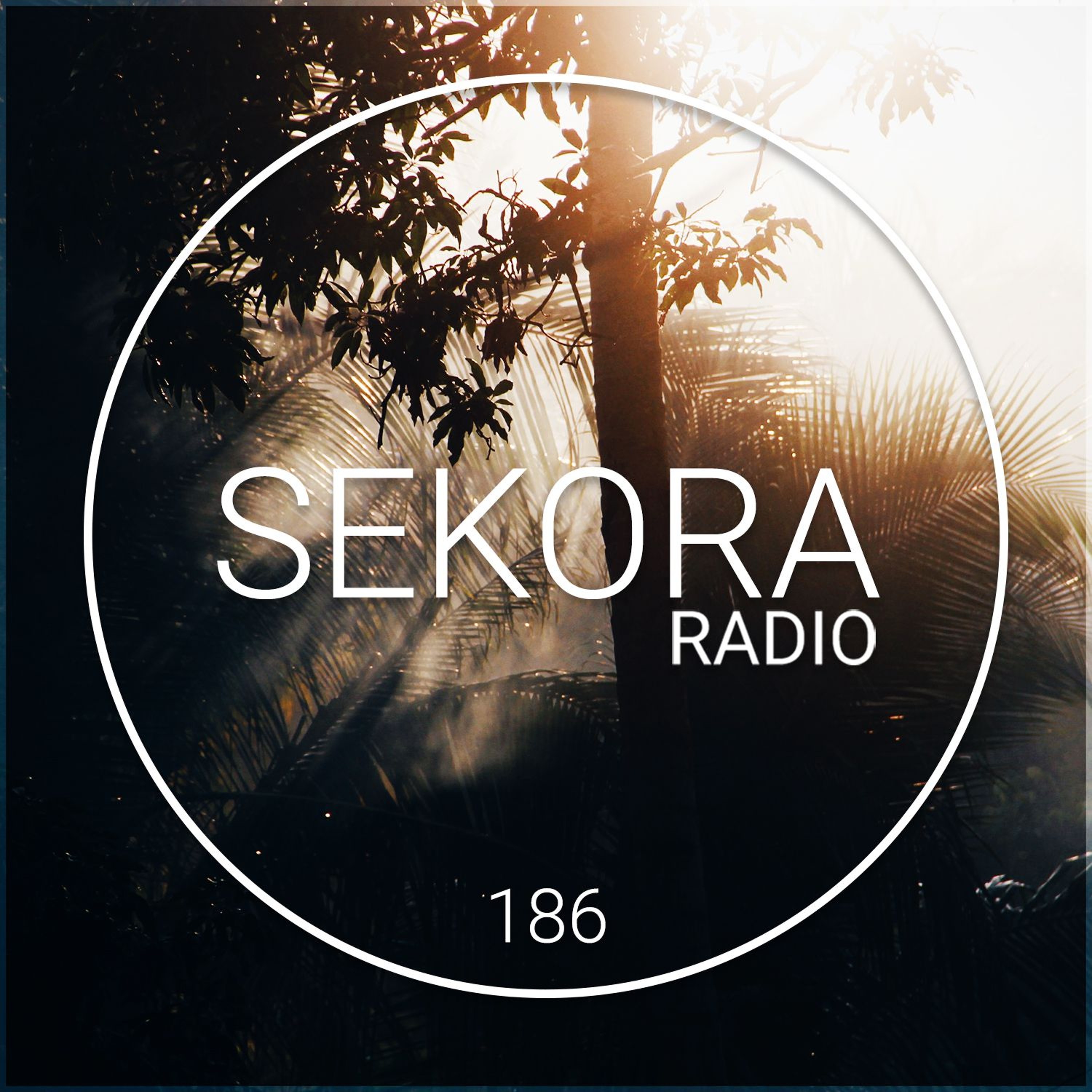 Sekora Radio 186 - Hessian episode artwork