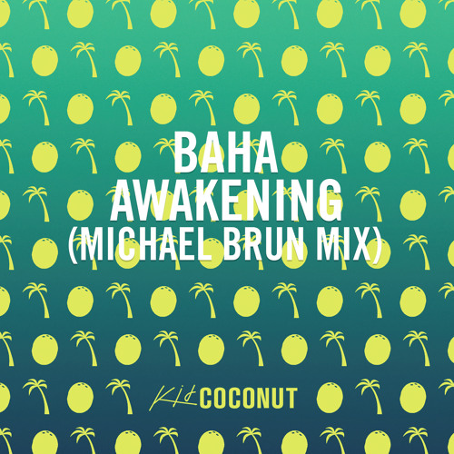 Awakening (Michael Brun Mix)