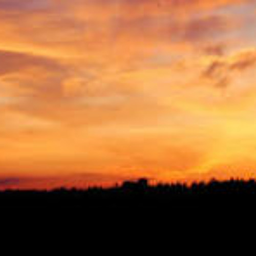 Under the evening sky