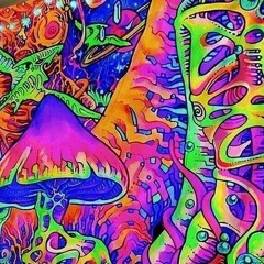 Acid schon so spät? 160er BounceKik