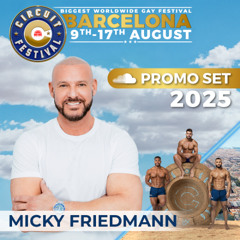 Micky Friedmann - Circuit Festival 2025