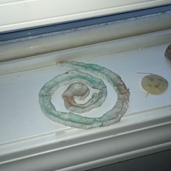 Veiled Mix