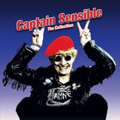 CAPTAIN SENSIBLE - WOT ( PDJ REWORK )