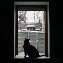 Formula (1st Movement)