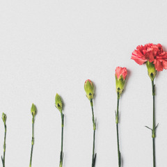 04.05.2025 (Explore) - Our Identity in Christ