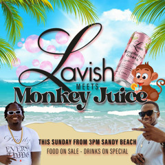LAVISH VS MONKEY JUICE 3 FT CHESTER