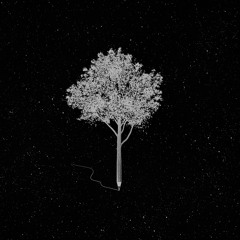 True (feat. Tony Mac)