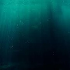 The Deep Room: 027 (October 5th 2024)