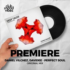 PREMIERE: Daniel Vilchez, Davidee ─ Perfect Soul (Original Mix) [Deep Tales]