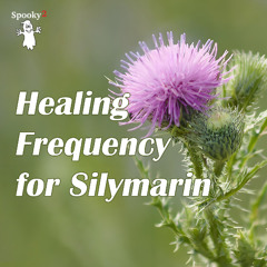 Healing Frequency for Silymarin | Deep Liver Cleanse, Detox & Cellular Repair| Silymarin-Inspired