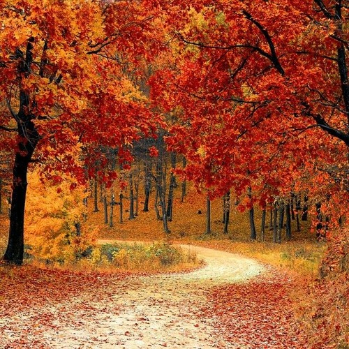 Lisa P - Autumn Leaves Trance Mix (October 2023)