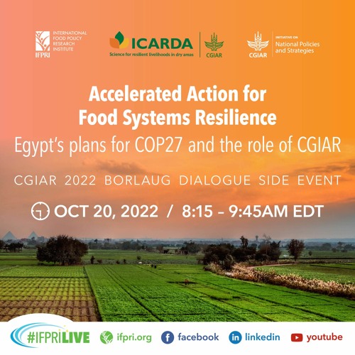 Accelerated Action for Food Systems Resilience: Egypt’s plans for COP27 and the role of CGIAR
