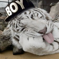 SCREAMING W KISURI (wunkojunko) HOST BY KID TRASH