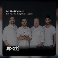 Bala Wala Chi - Harget Kart Cover Mashup - Dj Spark Remix