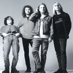Mudhoney - the money will roll right in