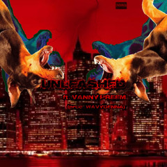 UNLEASHED ft VANNY PREEM (prod. Wavydenna)