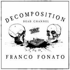 Decomposition - Fig. 20: Franco Fonato