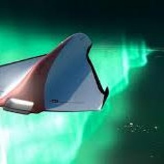 Fly Away