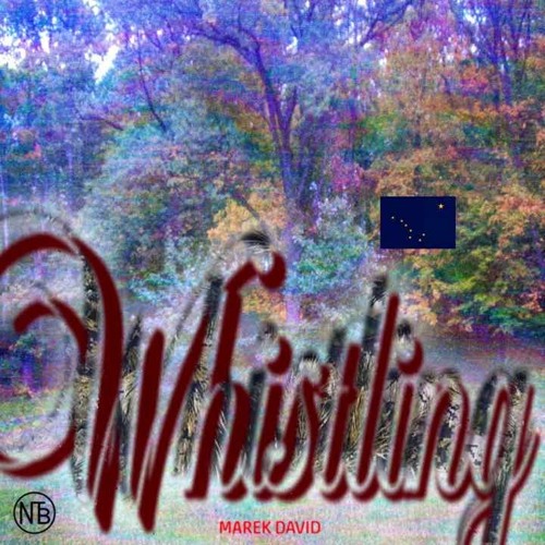 MAREK DAVID ~ WHISTLING