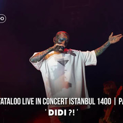 Amir Tataloo - Didi - Live In Istanbul Concert I Part 10  امیر تتلو - دیدی