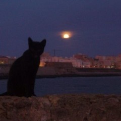 ♡☆популярити☆♡